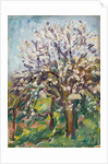 Almond Blossom on a sloping verge, c.1910 by Arthur Haythorne Studd