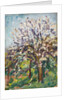 Almond Blossom on a sloping verge, c.1910 by Arthur Haythorne Studd
