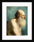 Profile study of an old man, c.1880 by Albert de Belleroche