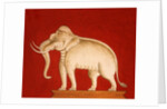 White elephant, page from a manuscript on elephant training by School Thai