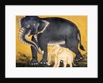 Elephant and calf by School Thai