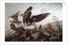 Hawks Attacking Partridges, 1826 by John James Audubon
