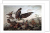 Hawks Attacking Partridges, 1826 by John James Audubon