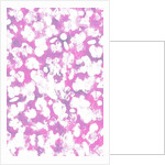 Animal by Louisa Hereford