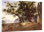 Garden of the Capuchin Friars, near Sorrento, 1827 by Carl Wilhelm Goetzloff