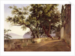 Garden of the Capuchin Friars, near Sorrento, 1827 by Carl Wilhelm Goetzloff