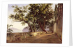 Garden of the Capuchin Friars, near Sorrento, 1827 by Carl Wilhelm Goetzloff