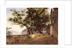 Garden of the Capuchin Friars, near Sorrento, 1827 by Carl Wilhelm Goetzloff