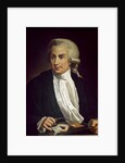 Luigi Galvani with frog specimen by Italian School