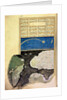 MS FY 1404 f.58a, The Great Comet above the Golden Horn in Constantinople by Turkish School
