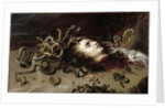 Head of Medusa, 1618 by Peter Paul Rubens