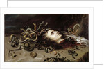 Head of Medusa, 1618 by Peter Paul Rubens
