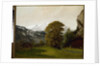 Landscape at Interlaken, Switzerland by Gustave Courbet