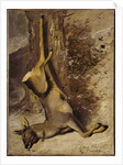 The deer, 1876 by Gustave Courbet