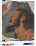 Head of St. John the Baptist Fragment of detached fresco, 1622 by Bernardo Strozzi