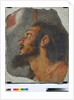 Head of St. John the Baptist Fragment of detached fresco, 1622 by Bernardo Strozzi