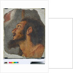 Head of St. John the Baptist Fragment of detached fresco, 1622 by Bernardo Strozzi