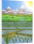 Japan Rice Paddy Field, 1997 by Larry Smart