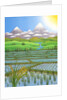 Japan Rice Paddy Field, 1997 by Larry Smart