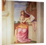 Architecture by Giambattista Zelotti