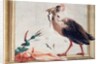 A Cassowary Holding a Snake in Its Beak by Giandomenico (1727-1804) Tiepolo