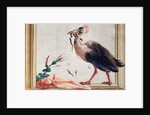 A Cassowary Holding a Snake in Its Beak by Giandomenico (1727-1804) Tiepolo