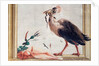 A Cassowary Holding a Snake in Its Beak by Giandomenico (1727-1804) Tiepolo