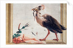 A Cassowary Holding a Snake in Its Beak by Giandomenico (1727-1804) Tiepolo