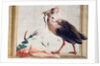 A Cassowary Holding a Snake in Its Beak by Giandomenico (1727-1804) Tiepolo