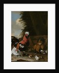 A Bantam Cockerel with Hens and Chicks in a Farmyard by Melchior de Hondecoeter