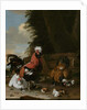 A Bantam Cockerel with Hens and Chicks in a Farmyard by Melchior de Hondecoeter
