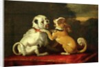 Dogs at Play by European School