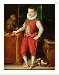Portrait of a Young Nobleman with a Monkey and a Dog, c.1615 by Flemish School