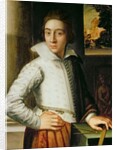 Portrait of a Young Man, mid-sixteenth century by Florentine School