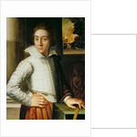 Portrait of a Young Man, mid-sixteenth century by Florentine School