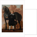 A Young Boy with his Horse, 1646 by Herman Mijnerts Doncker