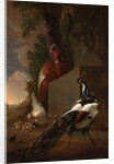 A Peacock, Turkey, and Chicken with her Chicks beside a Classical Fountain in a Landscape by Abraham Bisschop