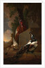 A Peacock, Turkey, and Chicken with her Chicks beside a Classical Fountain in a Landscape by Abraham Bisschop