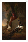 A Peacock, Turkey, and Chicken with her Chicks beside a Classical Fountain in a Landscape by Abraham Bisschop