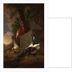 A Peacock, Turkey, and Chicken with her Chicks beside a Classical Fountain in a Landscape by Abraham Bisschop