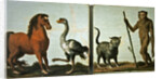 A horse and ostrich and a wildcat and wild man by Roelandt Jacobsz (follower of) Savery