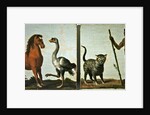 A horse and ostrich and a wildcat and wild man by Roelandt Jacobsz (follower of) Savery