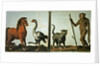 A horse and ostrich and a wildcat and wild man by Roelandt Jacobsz (follower of) Savery