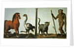 A horse and ostrich and a wildcat and wild man by Roelandt Jacobsz (follower of) Savery