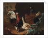A rooster, two chickens and two pigeons by an antique chipped terra cotta vase in a landscape, 1695 by Abraham Bisschop