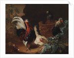 A rooster, two chickens and two pigeons by an antique chipped terra cotta vase in a landscape, 1695 by Abraham Bisschop