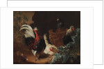 A rooster, two chickens and two pigeons by an antique chipped terra cotta vase in a landscape, 1695 by Abraham Bisschop