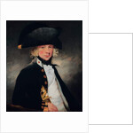 Portrait of a Young Midshipman, c.1796 by William Beechey