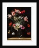 Tulips, Daffodils, Carnations, Poppies, Anemones, and Other Flowers in a Glass Vase on a Wooden Ledge, one of a pair, 17th century by Jean Picart