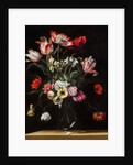 Tulips, Daffodils, Carnations, Poppies, Anemones, and Other Flowers in a Glass Vase on a Wooden Ledge, one of a pair, 17th century by Jean Picart